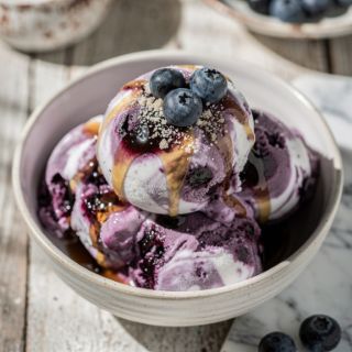 3 Ingredient Blueberry Frozen Yogurt